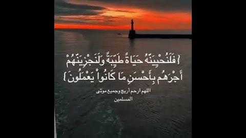 حالات واتس اب قرآن - تلاوة هادئة بصوت 🎤 القارئ عبدالرحمن مسعد.. سورة النحل