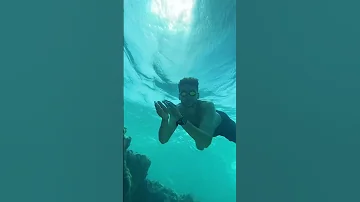 عندي مشوار صد رد مش هغيب Music غوص Snorkeling 