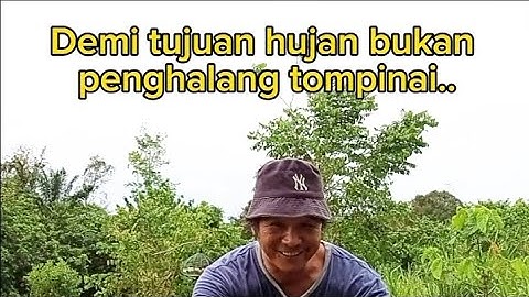 apil balik port keras kepala tompinai..