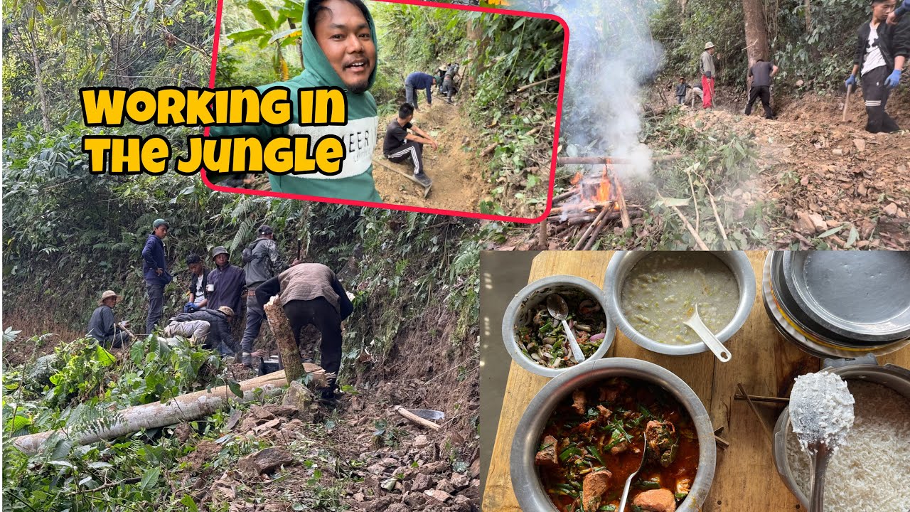 A Day of Hard Work in the Jungle