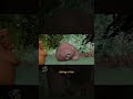 Animation | Hoppers Single Shot Progression
