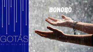 BONOBO - Rosewood