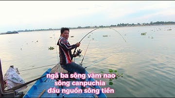 vượt đường dài hơn 240cây số săn hàng khủng ở sông vàm nao 2 ngày 1 đêm (con sông nhiều cá lớn ở vn)
