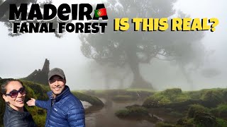 Lost in Madeira: Explore 5 Unreal Places  | Your Next Adventure Starts Here! Portugal