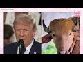 Buffalo avoids being sacrificed because it looks like Trump