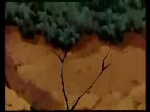 الاحلام الذهبيه الحلقه 39 الاخيرة PArt 2 