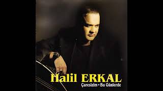 Halil Erkal - Sunam Resimi