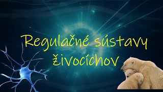 Regulácia tela živočíchov