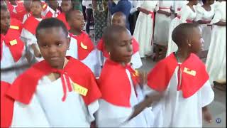 Live Kwaya Ya Parokia Ya Mt.theresia Mbezi Mwisho