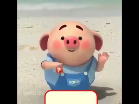 Babi lucu joget  tiktok bikin ketawa YouTube