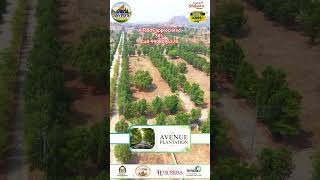 #dreamplot #houseforsale #villa #commercialplots #buyplots #houseplot #dtcp