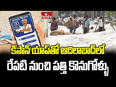 కపాస్ కిసాన్ యాప్తో ఆదిలాబాద్లో రేపటి నుంచి పత్తి కొనుగోళ్ళు | Adilabad Kapas Kisan App | hmtv