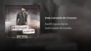 Está Llorando Mí Corazón - Saul El Jaguar Alarcón
