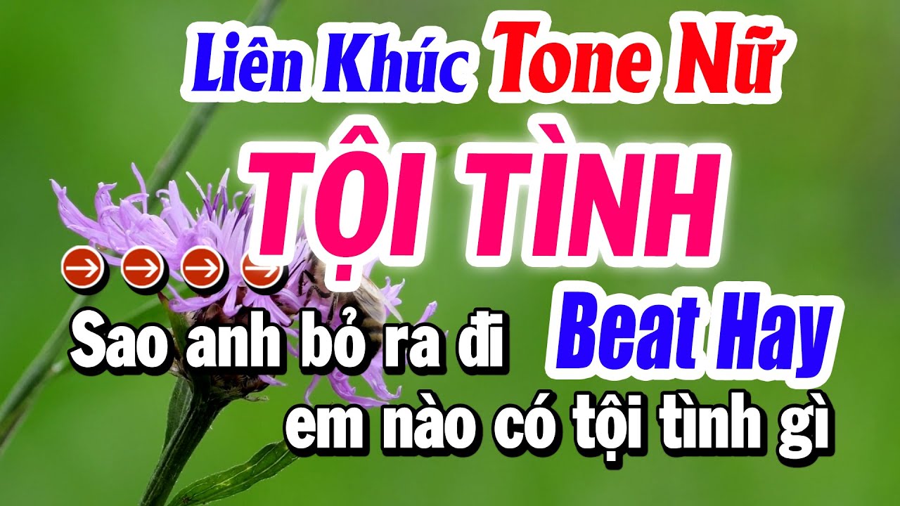 Karaoke Liên Khúc Nửa Bài Tone Nữ TỘI TÌNH Beat Mới Hay Nhất | Karaoke Tuyết Nhi