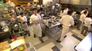 Find Your Success at the Los Rios Colleges