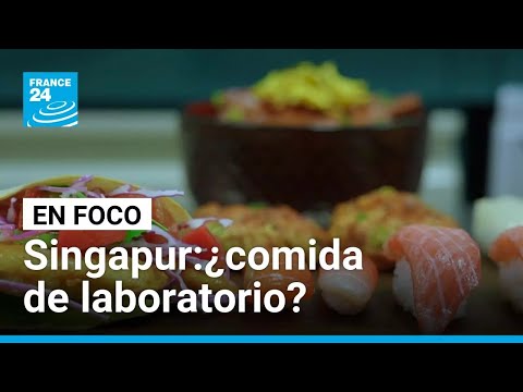 En Singapur, la comida del futuro se cocina en un laboratorio • FRANCE 24 Español