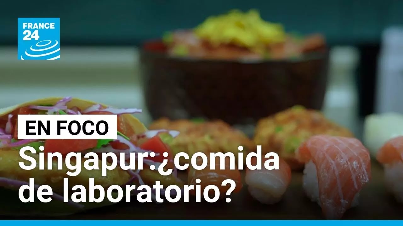 En Singapur, la comida del futuro se cocina en un laboratorio • FRANCE 24 Español