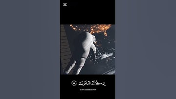 سورة المؤمنون ٨٤-٨٧ #holyquran #اكسبلور #المصحف #quran #trending 