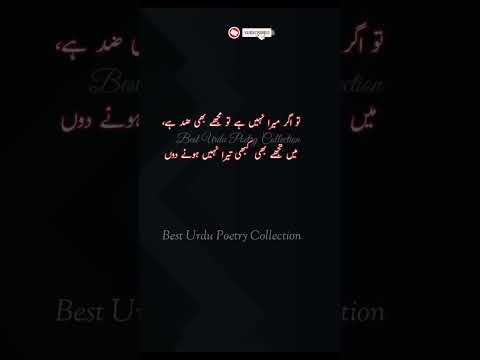 #viral #youtubeshorts #viralvideo #foryou #subscribe #urdupoetry #sadpoetry #shaayri #trending