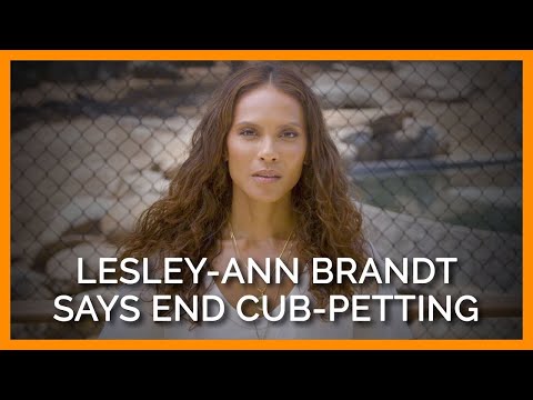 Lesley-Ann Brandt of ‘Lucifer’ Wants to End Cub-Petting