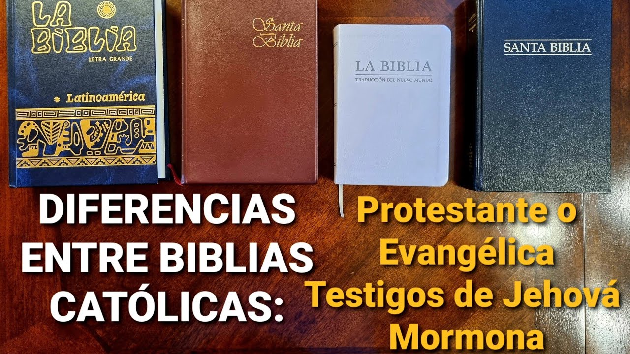 5 Diferencias entre Biblias católicas, protestantes evangélicas