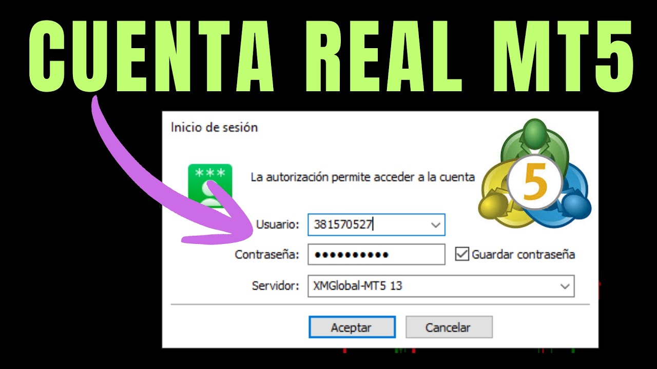 Cómo agregar una cuenta real en MetaTrader 5 paso - YouTube