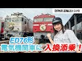 憧れのED76形電気機関車に乗っちゃった⁉︎#jr貨物 #鉄道 #電気機関車