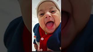 meow gob gob gob gob#trending #sorts #freefieeshort #feefree