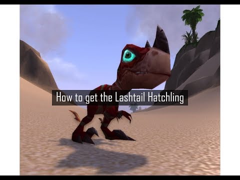 How To Get The Lashtail Hatchling Battle Pet