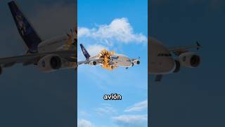 Zapato Bomba Dentro De Avión