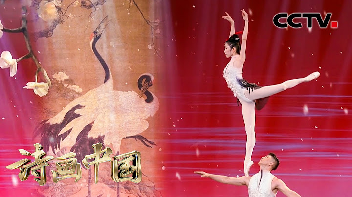 【纯享】当西方芭蕾融合东方杂技！吴正丹、魏葆华肩上芭蕾演绎绝美《雪梅双鹤》| CCTV「诗画中国」 - 天天要闻