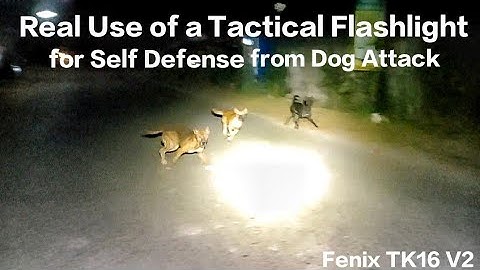 Fenix TK16 V2 | Real use of a tactical flashlight for self defense from dog attacks at night ไฟฉาย