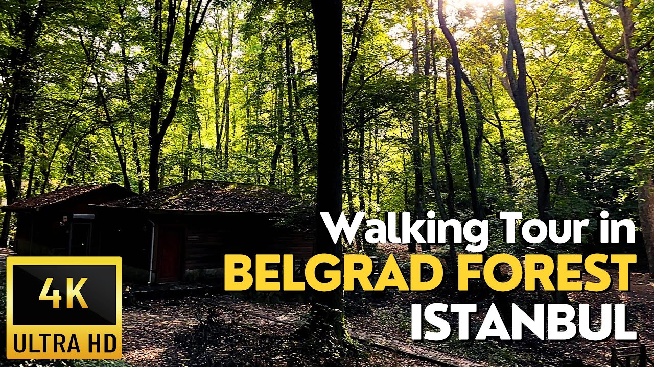 Belgrad Forest Walking Tour in Istanbul | Autumn Calm Nature-Therapy | 4K UHD