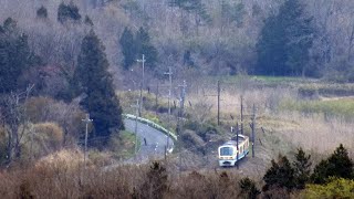 あかね』号　最後の春＜３＞　（近江鉄道）　　　　　　　　　　巛巛