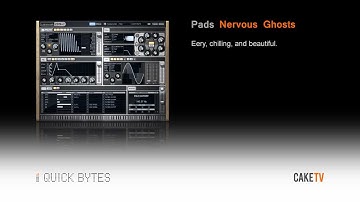 Z3TA+ 2 Sound Examples - Pads and Sound FX