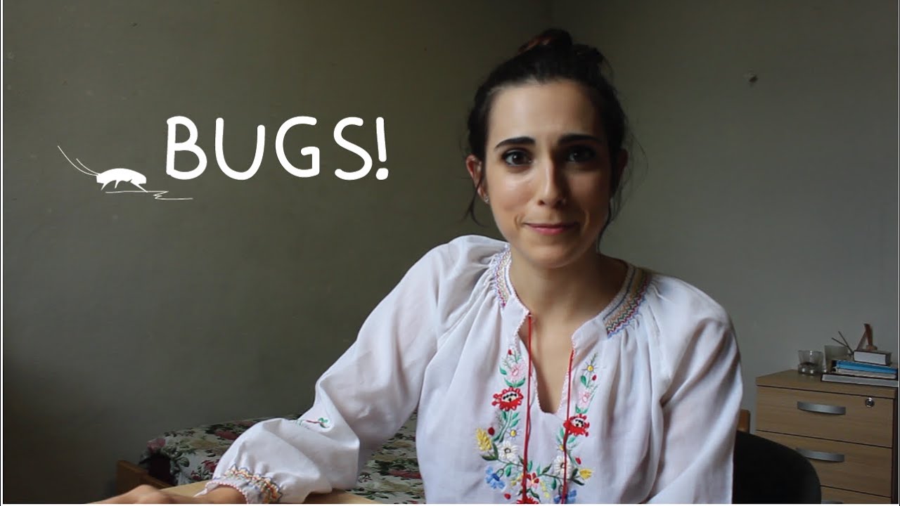 ⁣Weekly Spain Spanish Words with Rosa - Bugs!