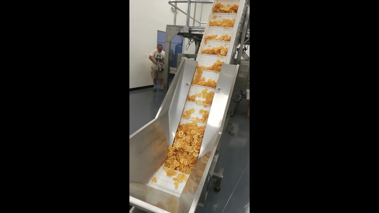 23g Dry lemon slice weighing and packaging use multihead weigher and rotary doypack machines