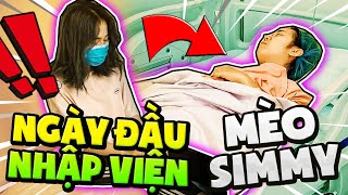 MÈO SIMMY NHẬP VIỆN ... | NGÀY ĐẦU TIÊN LÊN BÀN MỔ ĐỐI MẶT CA PHẪU THUẬT KHÓ KHĂN NHẤT screenshot 4