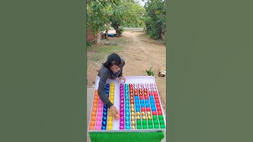 Puzzles Sort Ball Painter Creating Living Sculptures With Her Hands