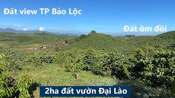 2ha đất vườn xã Đại Lào, Thành phố Bảo Lộc | Đất ôm đồi, có ao thả cá, giao thông thuận lợi