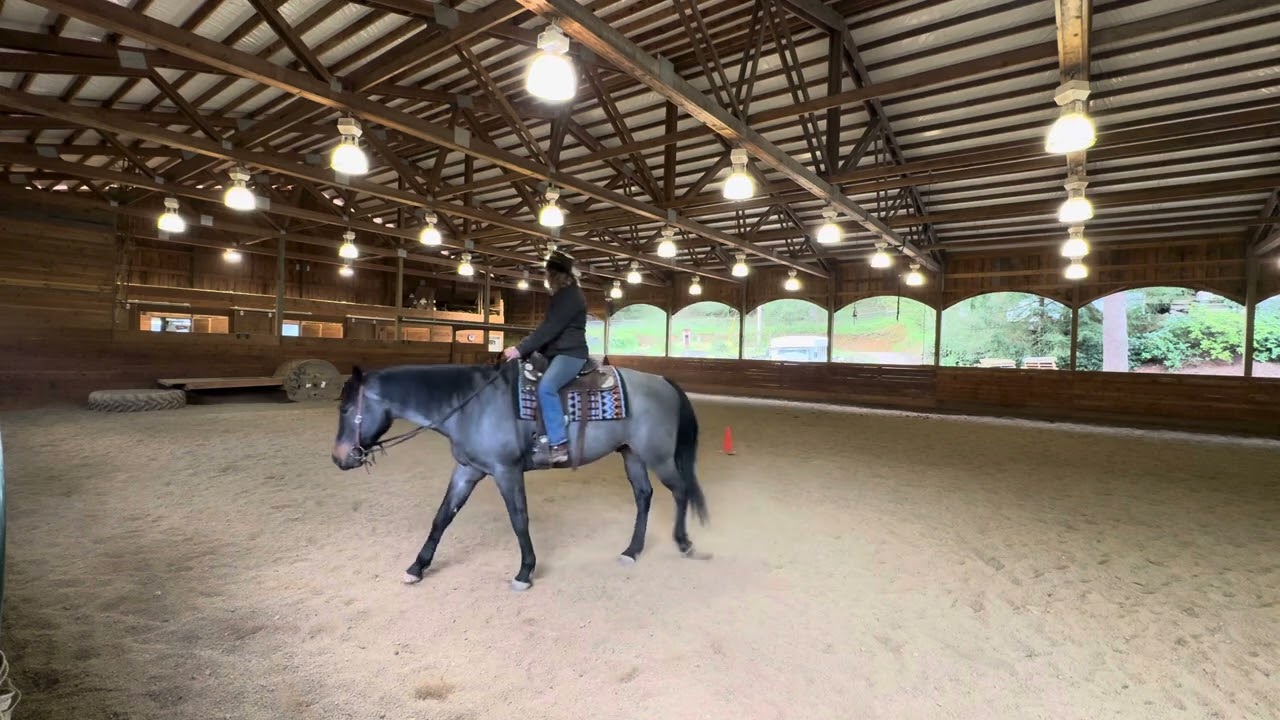 Class 83: Western Horsemanship Beginner - Adult Open