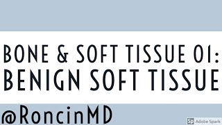 Slide Review: Bone & Soft Tissue 01 - Benign Soft Tissue screenshot 1