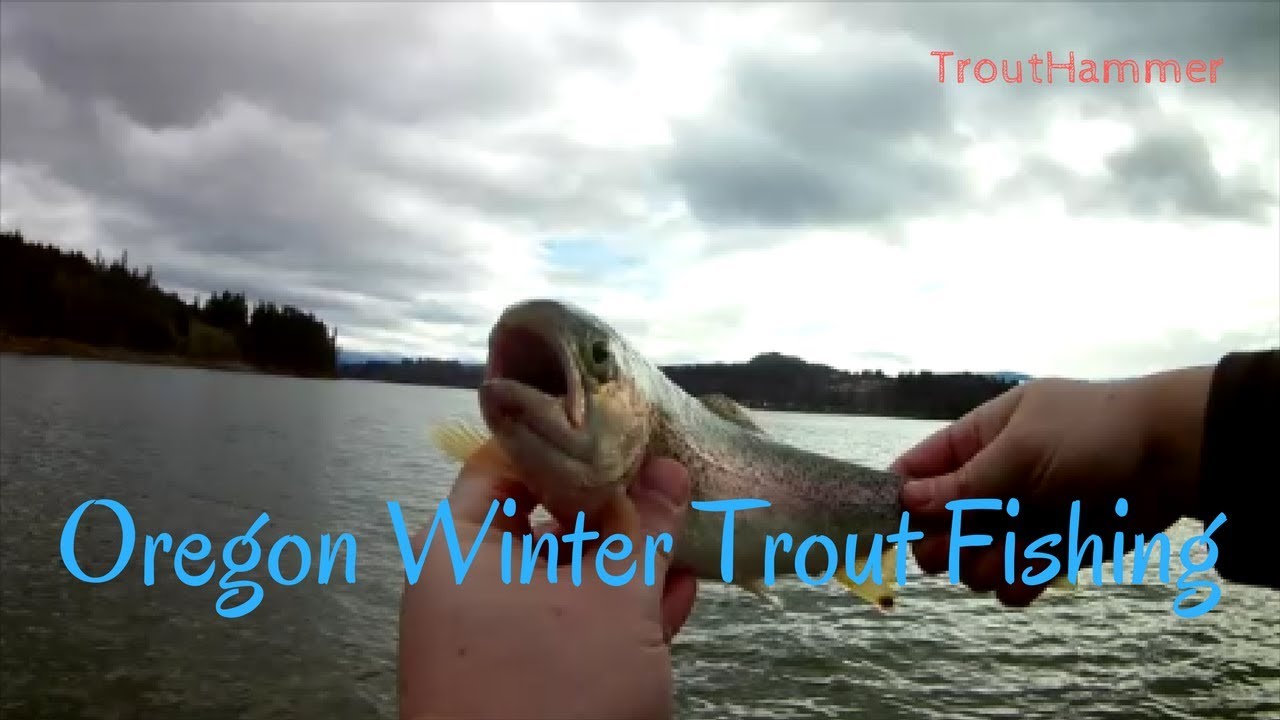 Oregon Winter Trout Fishing - Foster Reservoir - YouTube