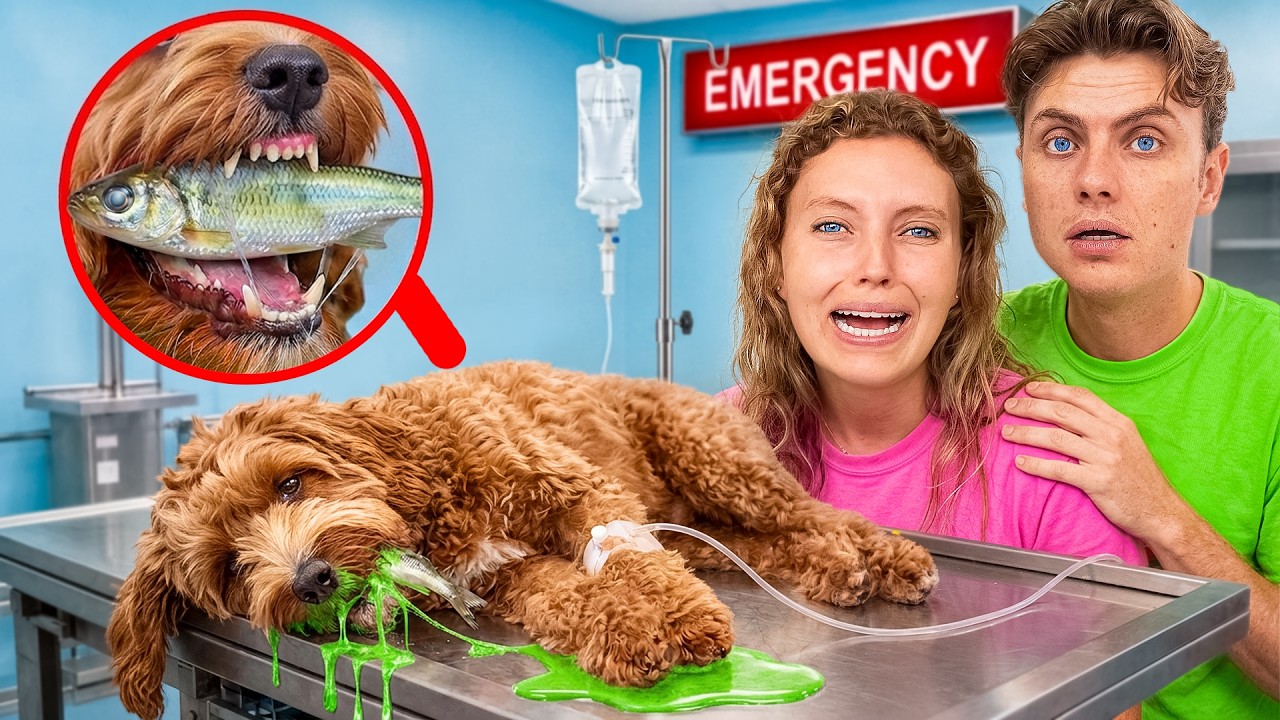 Latest Title & Thumbnail