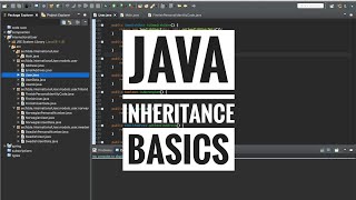 Celebrity Java inheritance basics Wealth