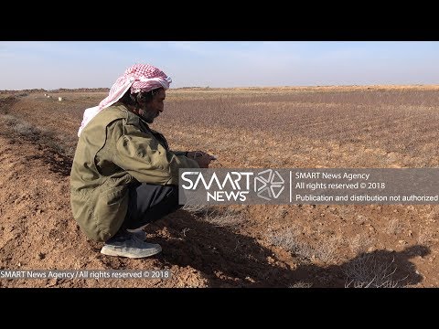 مجلس الرقة المدني يقدم ألفي طن من القمح بسعر مدعوم للمزارعين