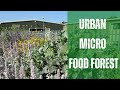 The Tiny Food Forest Hidden in an Industrial Estate