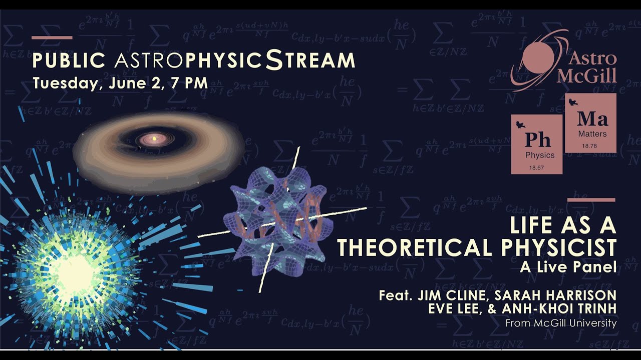 Life as a theoretical physicist : A live panel