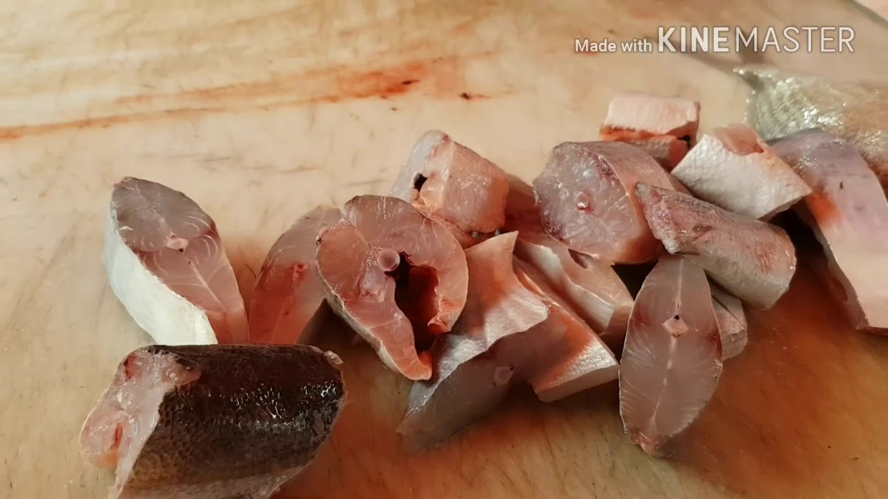 Limpando peixe, pampo, gordinho, pescada bicuda,caratinga e o peixe galo