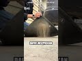 Cara Membersihkan Karpet Mobil dengan Mesin Amplas!